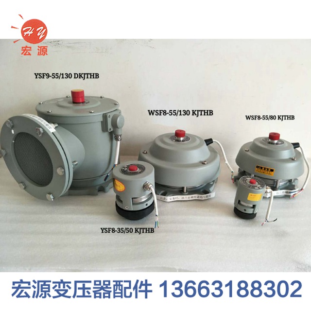 變壓器(qì)壓力釋(shi)放閥  